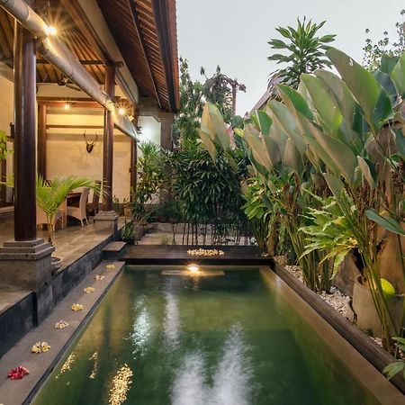 Bidadari Villa Семіньяк Екстер'єр фото